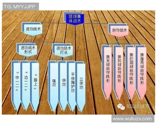 南京排球队中路突破分析与战术调整探讨 南京排球队中路突破分析与战术调整探讨