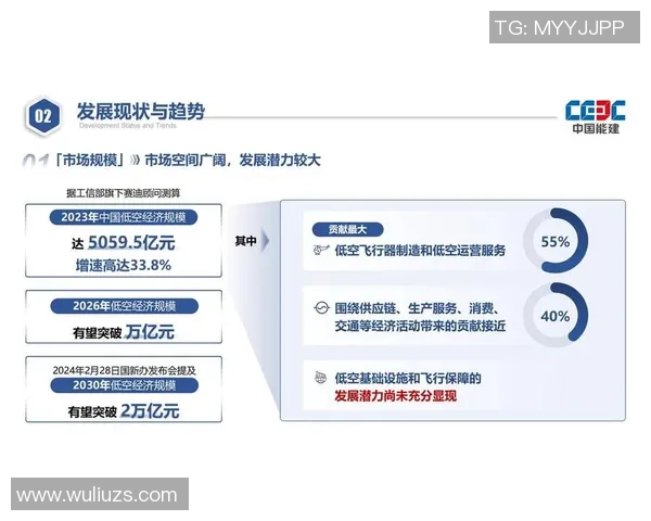 南京羽毛球队在洲际杯中的辉煌突破与奋斗历程全景回顾