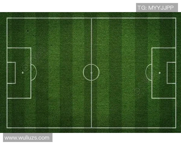足球明星的成长之路与成就探索全景介绍