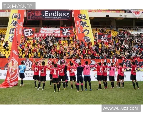 成都足球队实力深度解析与对手竞争力全面对比分析