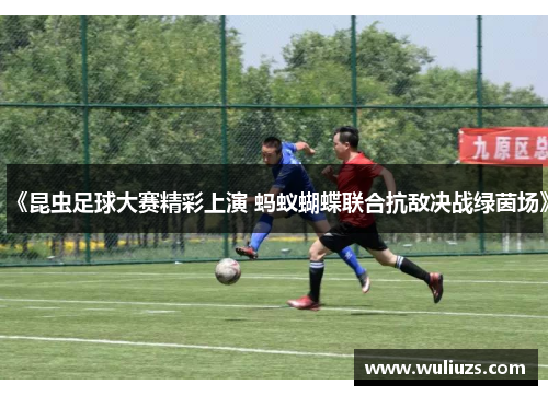 《昆虫足球大赛精彩上演 蚂蚁蝴蝶联合抗敌决战绿茵场》